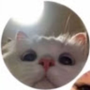 Meet your Posher, Charlotte